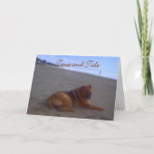 Carte Temps et marée (Devant)