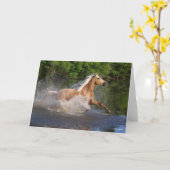 Carte Tennessee Walker Traversant L'Eau (Fleur jaune)