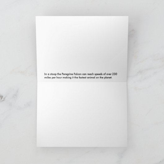 Carte Terminal Velocity Peregrine Falcon (Intérieur)