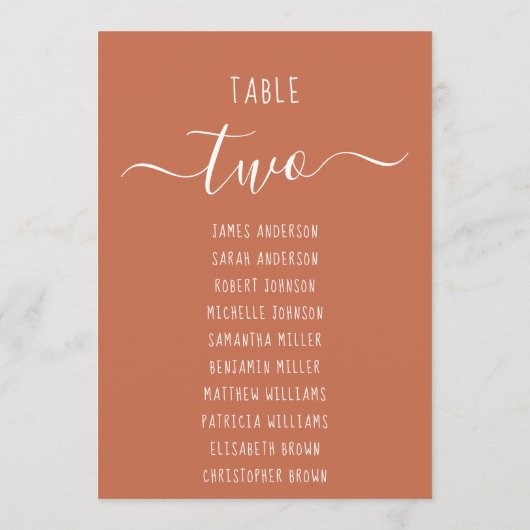 Carte Terracotta Modern White Script Seating Chart Card (Dos)