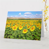 Carte Terrain de tournesol (Fleur jaune)