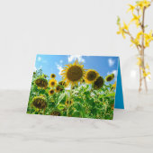 Carte Terrain de tournesol au soleil (Fleur jaune)