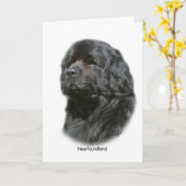 Carte Terre (Fleur jaune)