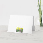 Carte Terre de Shroom - joyeux anniversaire ! (Dos)