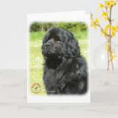 Carte Terre-Neuve 9T086D-067_2 (Fleur jaune)