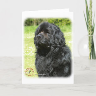 Carte Terre-Neuve 9T086D-067_2