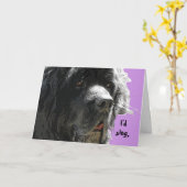 Carte Terre-Neuve Joyeux anniversaire (Fleur jaune)