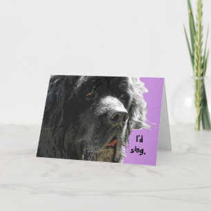 Carte Terre-Neuve Joyeux Anniversaire