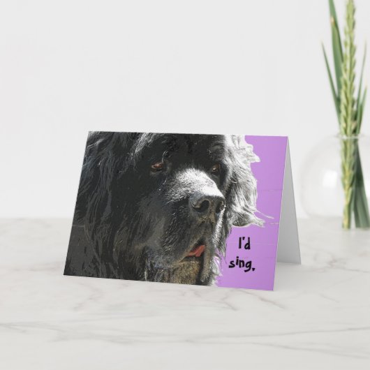 Carte Terre-Neuve Joyeux anniversaire (Devant)