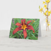 Carte Terre verte (Fleur jaune)