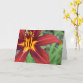 Carte Terre verte (Fleur jaune)