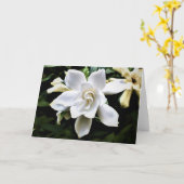 Carte Terre verte (Fleur jaune)