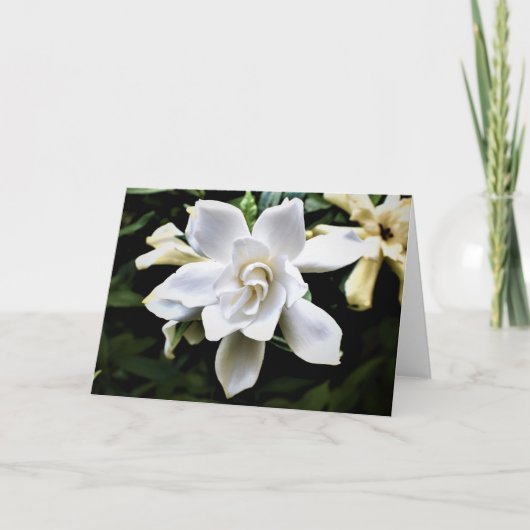 Carte Terre verte (Devant)