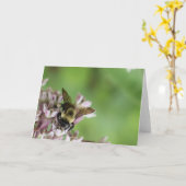 Carte Terre verte (Fleur jaune)