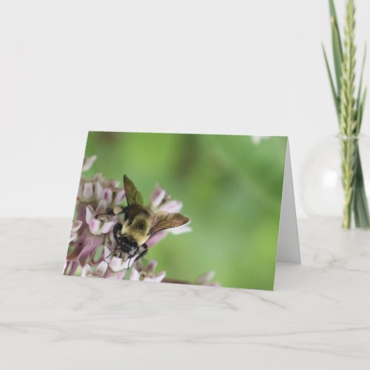 Carte Terre verte (Devant)