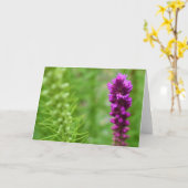 Carte Terre verte (Fleur jaune)