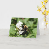 Carte Terre verte (Fleur jaune)