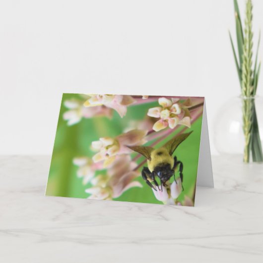 Carte Terre verte (Devant)