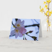 Carte Terre verte (Fleur jaune)