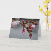 Carte Terre verte (Fleur jaune)