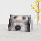 Carte Terrier blond comme les blés doucement enduit (Fleur jaune)