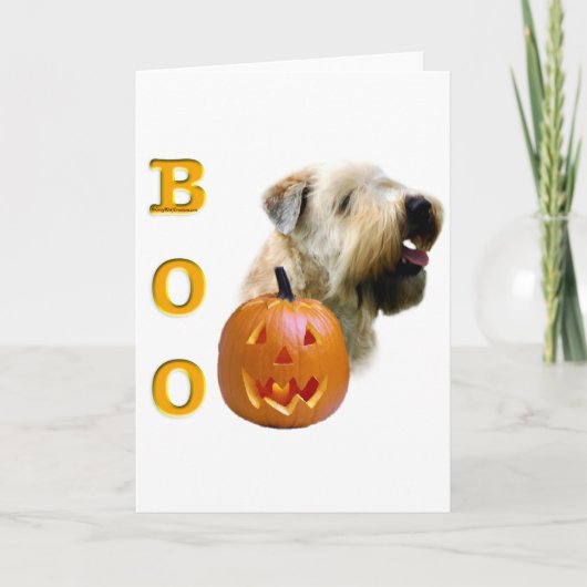 Carte Terrier blond comme les blés doucement enduit (Devant)