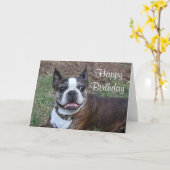 Carte Terrier Brindle et blanc de Boston (Fleur jaune)