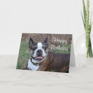 Carte Terrier Brindle et blanc de Boston