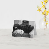 Carte Terrier Bull Terrier du général Patton "Willie" (Fleur jaune)