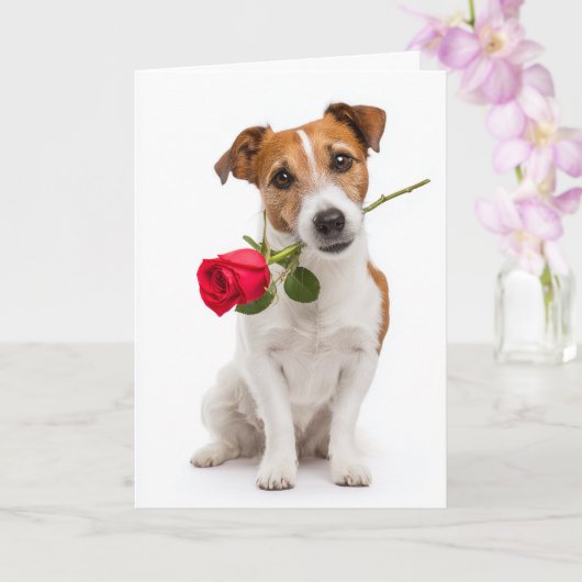 Carte Terrier de Jouet Fox Saint-Valentin (Orchidée)
