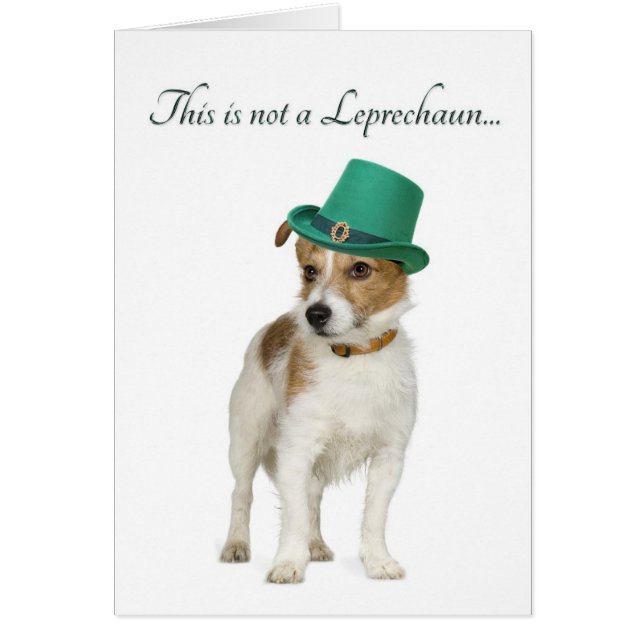 Carte Terrier Leprechaun Funny (Devant)
