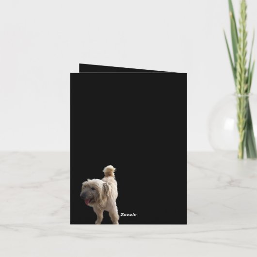 Carte Terrier Mignon (Dos)