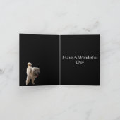 Carte Terrier Mignon (Intérieur)