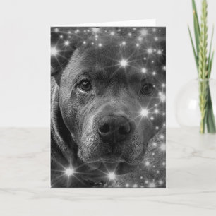 Carte Térrier Pitbull Gris avec Paillettes Amoureux des