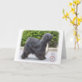 Carte Terrier tibétain (Fleur jaune)