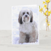 Carte Terrier tibétain sable et blanc (Fleur jaune)