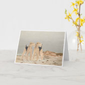 Carte Terriers gallois au bord de la mer (Fleur jaune)