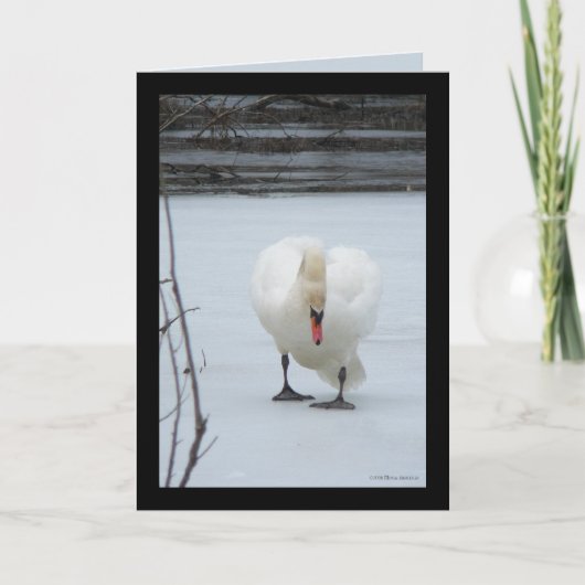 Carte Territoire de Swan (Devant)