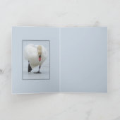 Carte Territoire de Swan (Intérieur)