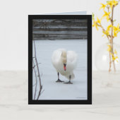 Carte Territoire de Swan (Fleur jaune)