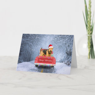 Carte Tervueren Airedale assis dans la neige à Noël