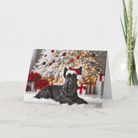 Carte Tervueren Noël (Devant)