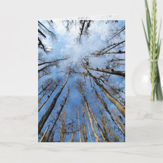 Carte Tête dans les nuages (Devant)