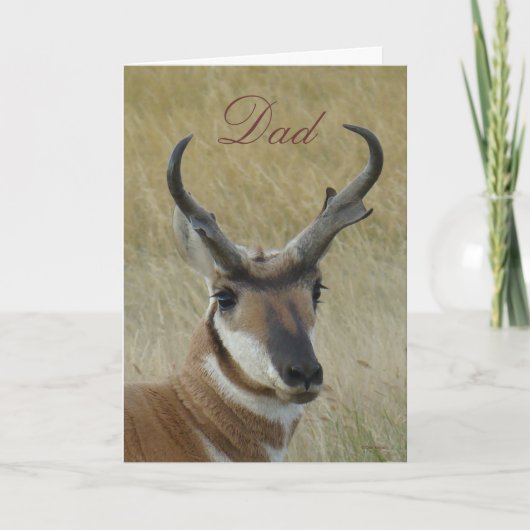 Carte Tête de cerf antilope A5 touchée (Devant)