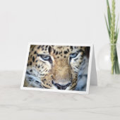 Carte Tête de léopard (Devant)