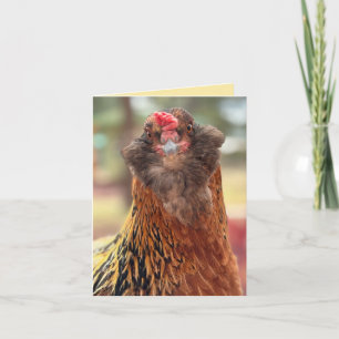 Carte Tête de poulet barbu drôle en gros plan