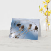 Carte Têtes de graines neigeuses (Fleur jaune)