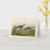 Carte Tétras à queue fine - Audubon's Birds of America (Fleur jaune)
