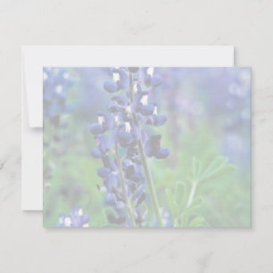 Carte Texas Bluebonnet