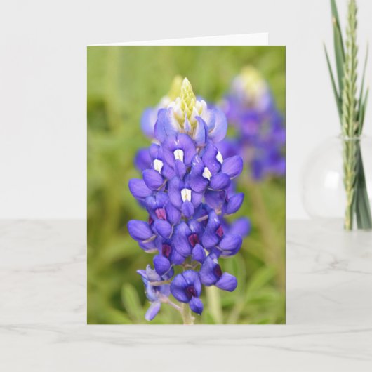 Carte Texas Bluebonnet Flower Close Portrait Art Card (Devant)